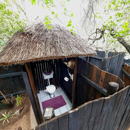 Off Beat Safaris Bush Lodge Hoedspruit Eksteriør billede