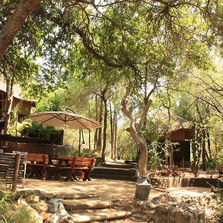 Off Beat Safaris Bush Lodge Hoedspruit Eksteriør billede
