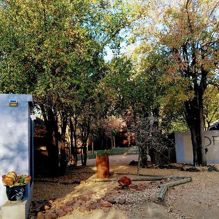 Off Beat Safaris Bush Lodge Hoedspruit Eksteriør billede
