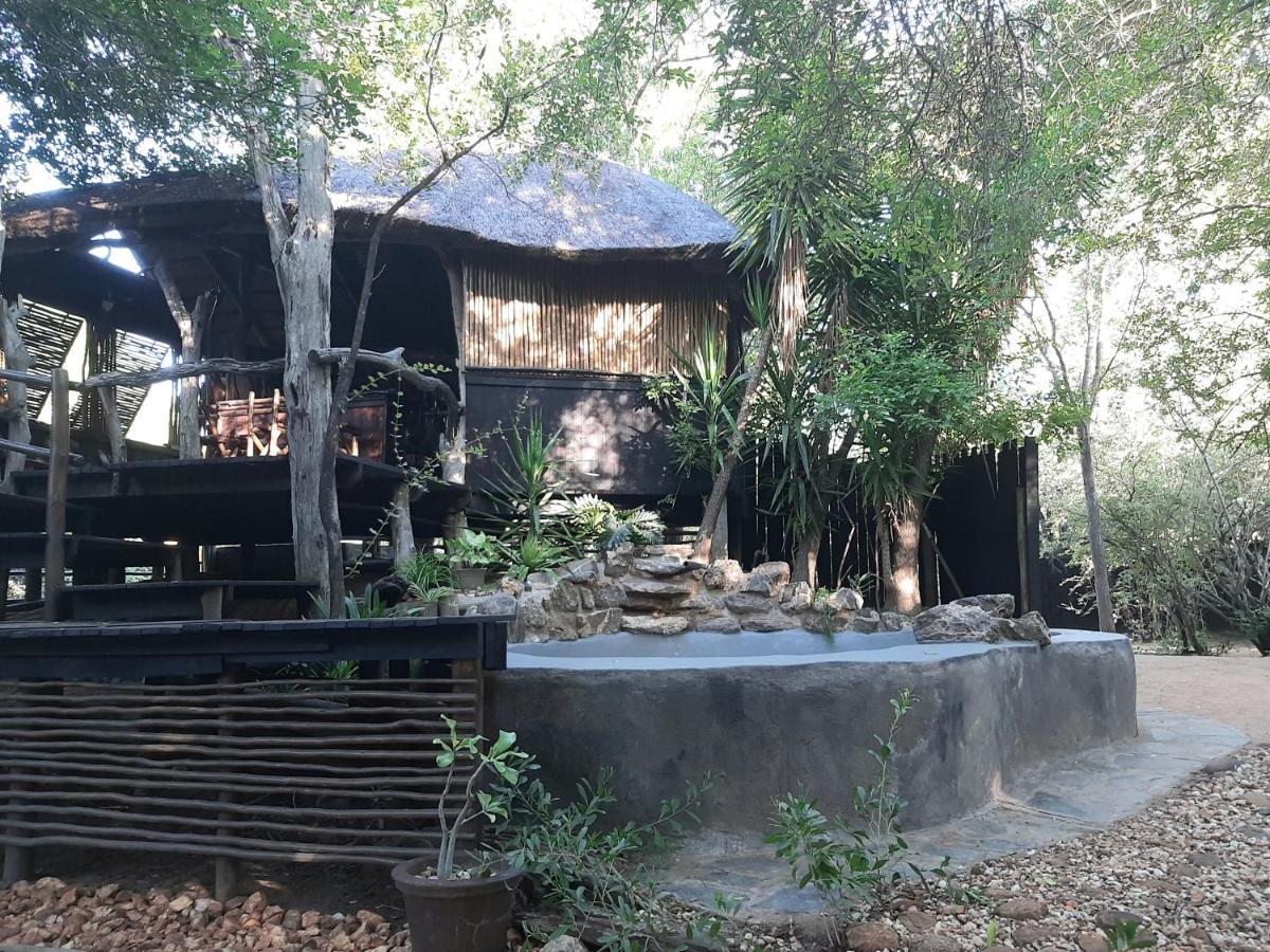 Off Beat Safaris Bush Lodge Hoedspruit Eksteriør billede