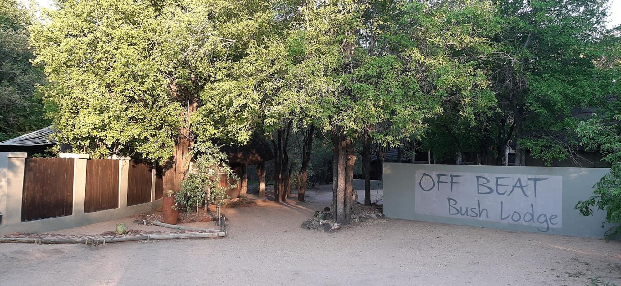 Off Beat Safaris Bush Lodge Hoedspruit Eksteriør billede