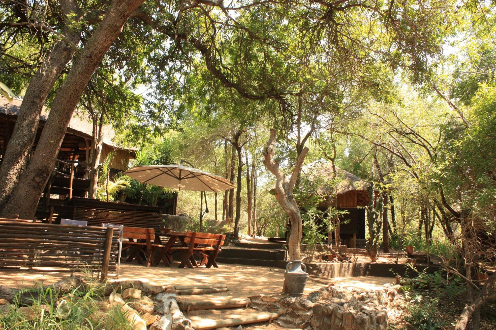 Off Beat Safaris Bush Lodge Hoedspruit Eksteriør billede