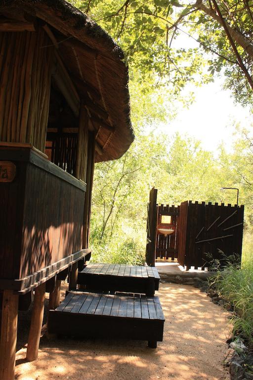 Off Beat Safaris Bush Lodge Hoedspruit Værelse billede