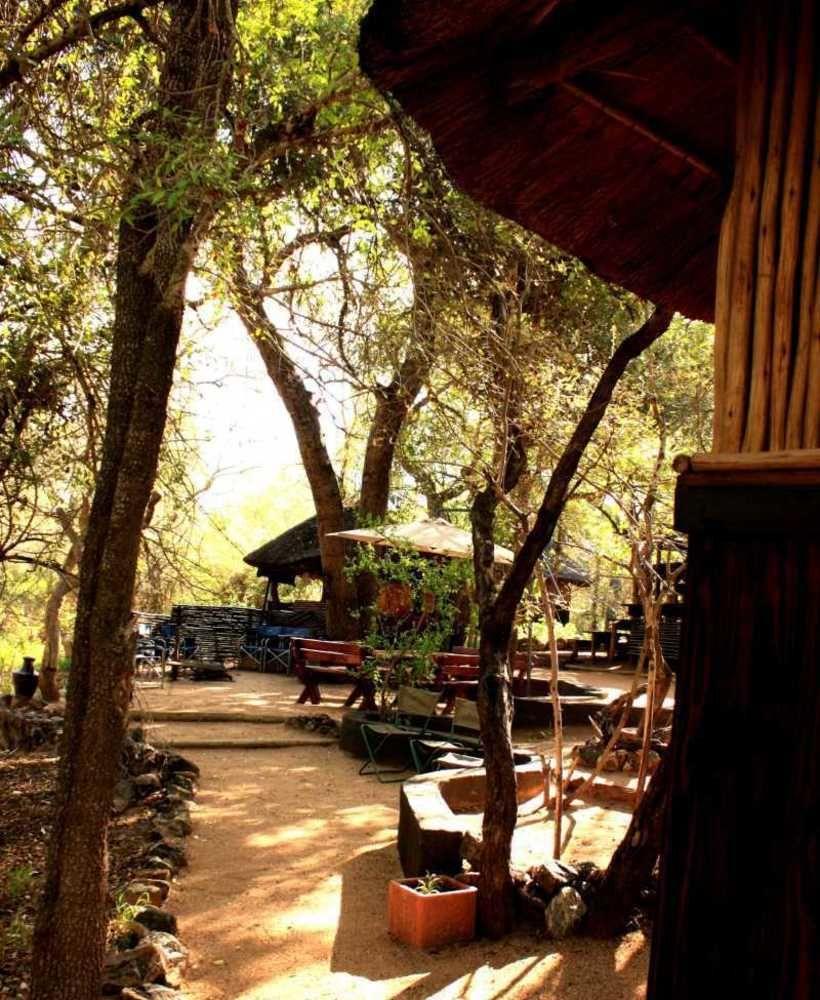 Off Beat Safaris Bush Lodge Hoedspruit Eksteriør billede
