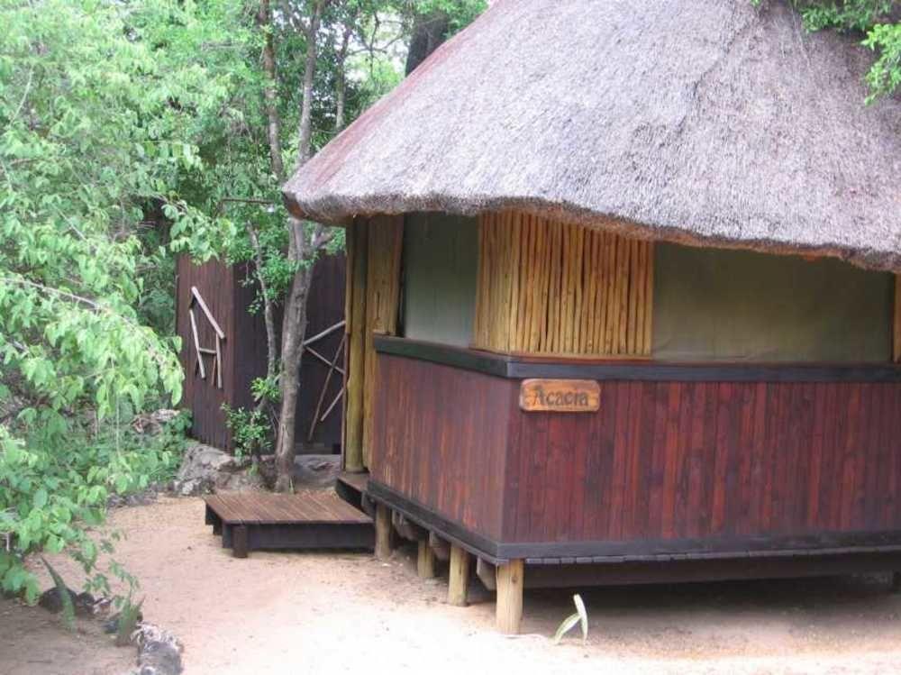 Off Beat Safaris Bush Lodge Hoedspruit Eksteriør billede