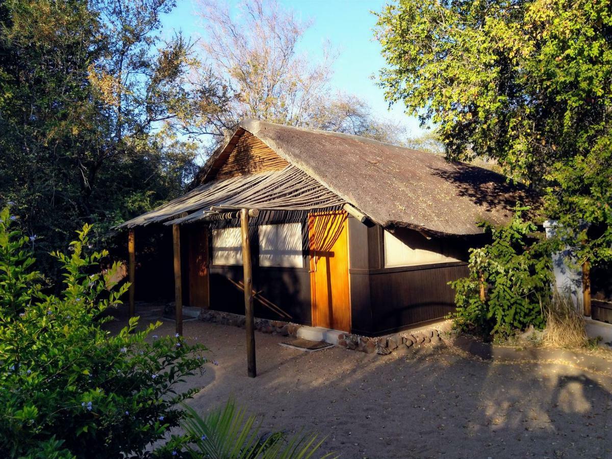 Off Beat Safaris Bush Lodge Hoedspruit Eksteriør billede