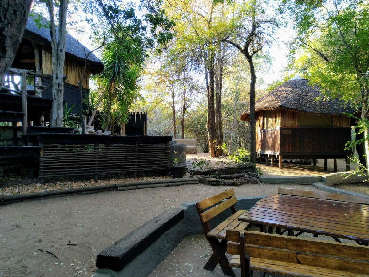 Off Beat Safaris Bush Lodge Hoedspruit Eksteriør billede