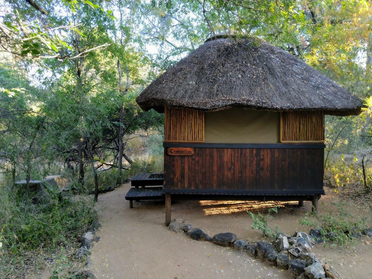 Off Beat Safaris Bush Lodge Hoedspruit Eksteriør billede