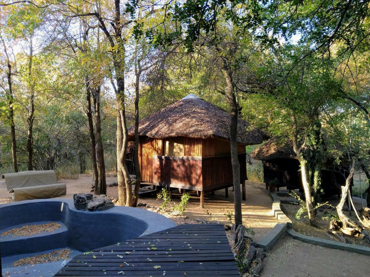 Off Beat Safaris Bush Lodge Hoedspruit Eksteriør billede