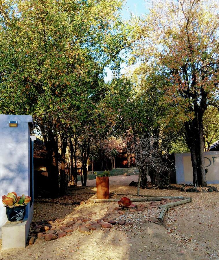 Off Beat Safaris Bush Lodge Hoedspruit Eksteriør billede