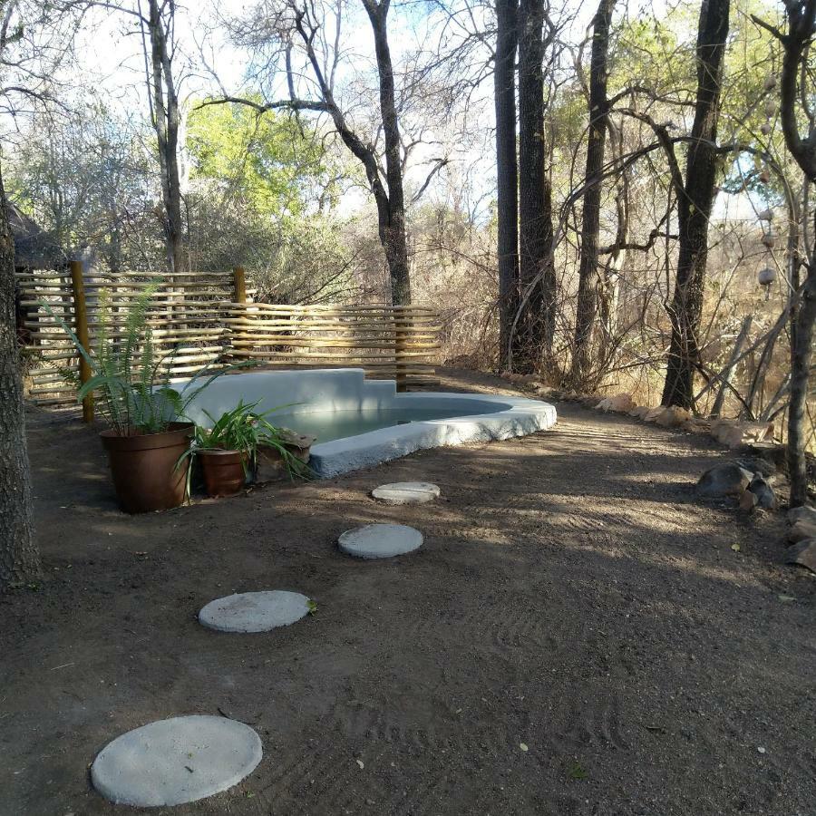 Off Beat Safaris Bush Lodge Hoedspruit Eksteriør billede
